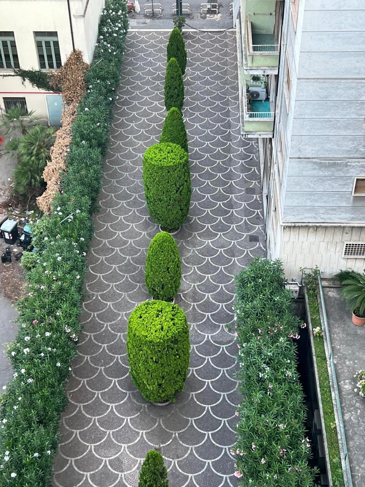 Appartamento Luce, Silenzio Ed Eleganza Nel Cuore Di Roma